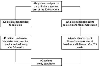 Dynamics in Circulating Proinflammatory Biomarkers for Prognostic Assessment of Patients With Advanced HCC – A Substudy From the SORAMIC Trial